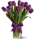 Passionate Purple Tulips from Boulevard Florist Wholesale Market